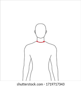 Men to do neck size measurement fashion Illustration for size chart. 7.5 head size boy for site or online shop. Human body infographic template for clothes. 