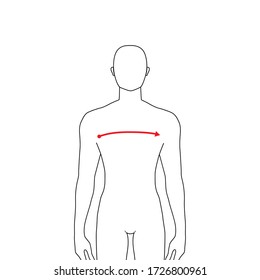 Hombres para hacer la moda de medición x-front y x-back Ilustración para la gráfica de tamaño. 7.5 cabeza de niño para sitio o tienda en línea. Plantilla infográfica de cuerpo humano para ropa. 