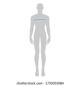 Hombres para hacer la moda de medición x-front y x-back Ilustración para la gráfica de tamaño. 7.5 cabeza de niño para sitio o tienda en línea. Plantilla infográfica de cuerpo humano para ropa. 