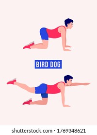 Men doing Bird Dog  exercise, Men workout fitness, aerobic and exercises. Vector Illustration.