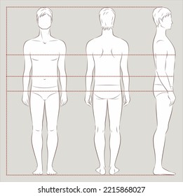 Figura masculina. Proporciones corporales para la costura de ropa. Pecho, cintura, líneas de cadera. Silueta masculina. Vistas frontales, traseras y laterales. Ilustración vectorial.