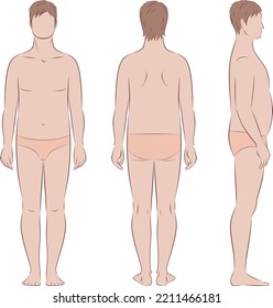 Figura masculina. Tipo corporal con mayor deposición de grasa y musculatura. Delante, atrás, lado. Ilustración vectorial.
