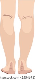 Men Legs Anatomy Back View Illustration Isolated on White Background