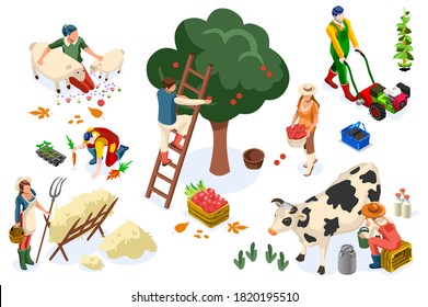 Hombres en feliz trabajo de granja sonriendo en cosecha y trabajando en granjas estacionales de manzanas. Feliz agricultura de frutas de otoño, gente con frutas del jardín, temporada agrícola. Recolectar ilustración vectorial plana.
