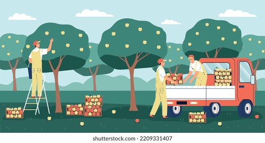 Hombres recogiendo manzanas maduras en el jardín y cargando cajas en la ilustración vectorial plana de la camioneta