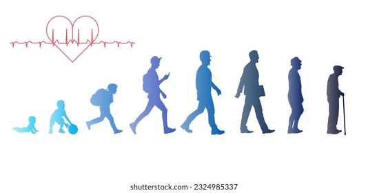 Men, stages of development. Decorated with a gradient. Life from birth to old age. ESP 10.