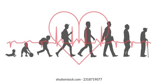 Men, stages of development. Silhouettes against the background of a heartbeat. Life from birth to old age. ESP 10.