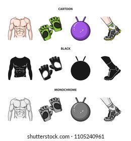 Men torso, gymnastic gloves, jumping ball, sneakers. Fitnes set collection icons in cartoon,black,monochrome style vector symbol stock illustration web.