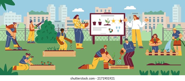 Men and women characters working at community garden flat style, vector illustration. Plant care infographic stand, people growing and watering greens, cityscape