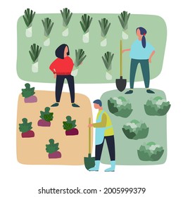 Men and women doing agricultural works on vegetable patch. Vector flat illustration. Harvesting, gardening concept. Agritourism concept