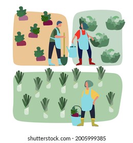Men and women doing agricultural works on vegetable patch. Vector flat illustration. Harvesting, gardening concept. Agritourism concept