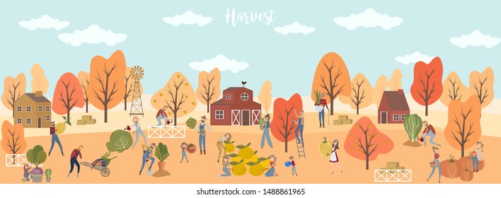 Men and women farmers harvest fruits and vegetables in the autumn landscape. Editable vector illustration