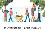 Men & women farmers picking apples & gathering harvest in orchard. People garden workers carrying fresh fruits, pushing cart with vegetables. Agriculture, farming & gardening. Flat vector illustration