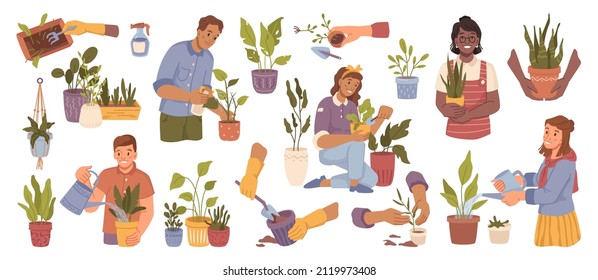 Hombres y mujeres regando plantas domésticas, cuidando y rociando hojas se ponen iconos. Hobby de personajes de dibujos animados planos vectores, plantas en macetas con follaje exuberante, follaje. Jardinería y plantación de botánica ambiental