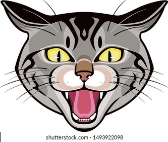 Menacing stray cat head. Vector