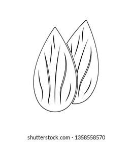 mendal icon. Element of nuts for mobile concept and web apps icon. Outline, thin line icon for website design and development, app development