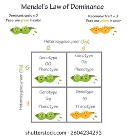 Mendel's Law of Dominance educational genomics illustration