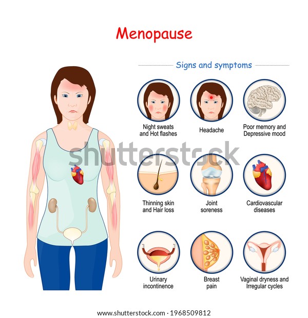 Menopause Climacteric Signs Symptoms Vector Illustration Stock Vector