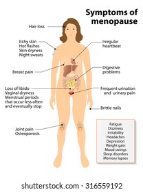 Менопауза. Знак и симптомы. Женский силуэт с выделенными внутренними органами.