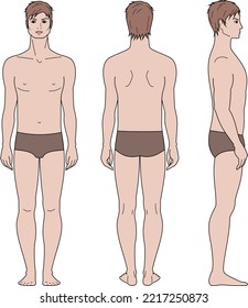 Men's figure  Male silhouette  Front  back  side views  Vector illustration 