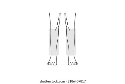 1,618 Body parts shin Images, Stock Photos & Vectors | Shutterstock