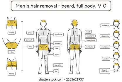 Men's Hair Removal, Beard, Whole Body, VIO Area Guide, Underwear