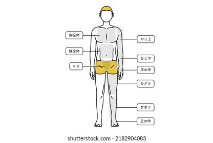Men's hair removal, full body (front) area guide, underwear - Translation: full chest, full belly, elbow, elbow, back of hand, knee, knee, back of leg