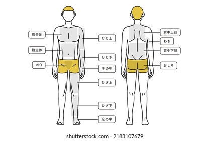 Men's hair removal, full body (front and back) body contouring, underwear - Translation: full chest, full stomach, elbows, elbows, backs of hands, knees, backs of knees, backs of feet, upper back, arm