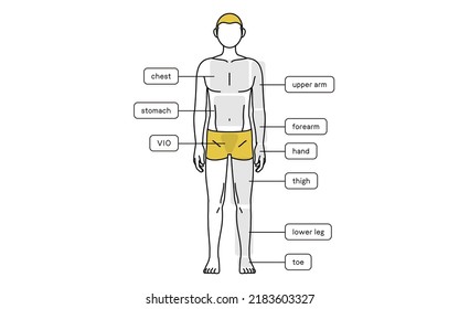 Men's hair removal, full body (front) area guide, underwear
