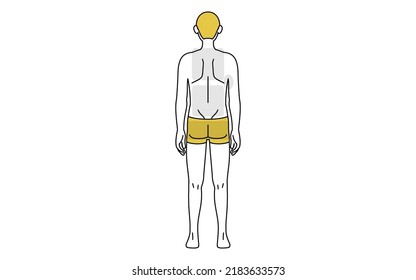 Men's hair removal, full body (back) area guide, underwear