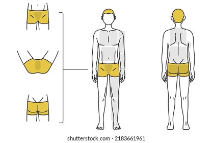 Men's hair removal, full body (front and back) and VIO area guide, underwear