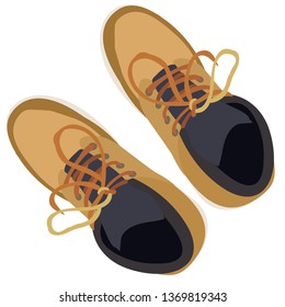 men's shoes with laces, top view, isolated