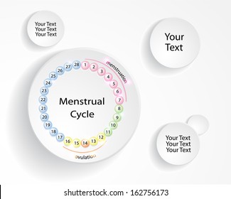 menstrual cycle background