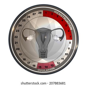 Menstrual cycle calendar, days of menstruation and ovulation. Female reproductive system anatomy at the middle, uterus and ovaries.