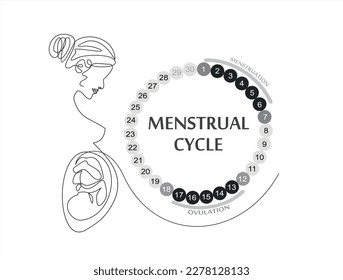 Menstrual cycle. Female calendar planner design.Continuous One line of pregnant woman with embryo silhouette on white background. The concept of Menstrual cycle, new life