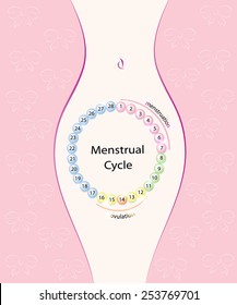 Menstrual cycle. Female silhouette.