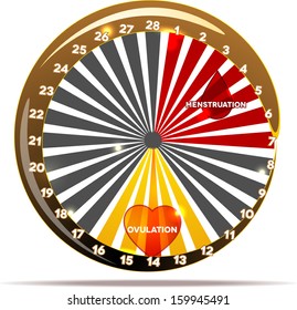 Menstrual cycle graphic. Average menstrual cycle days. Bleeding period (red color) and ovulation (yellow). Isolated on white. 