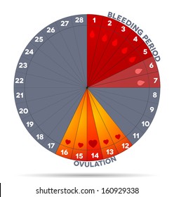 Menstrual cycle graphic. Average menstrual cycle days. Bleeding period (drop symbols) and ovulation (heart shape).