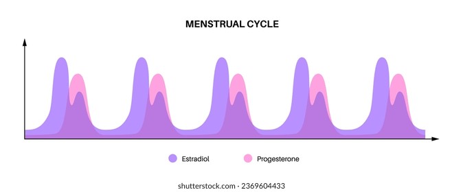Menstrual cycle graphic. Hormones level in the female body. Estradiol, and progesterone concept, infographic chart maximum and minimum value in the woman body isolated medical flat vector illustration