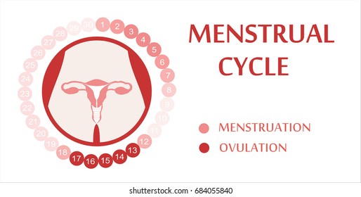 Menstrual cycle. Planner Design.