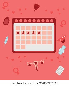 Menstrual Cycle Vector Illustrations – Feminine Health  Wellness. Menstrual period