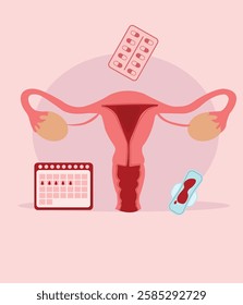 Menstrual Cycle Vector Illustrations – Feminine Health  Wellness. Menstrual period