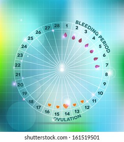 Menstrual cycle wheel. Average menstrual cycle. Bleeding period and ovulation.