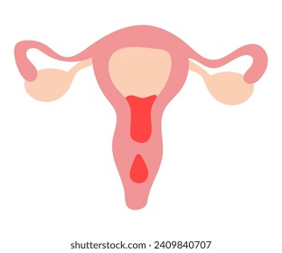 Elemento menstruación del conjunto colorido. Esta ilustración transforma el útero en una elegante representación del ciclo menstrual contra un fondo blanco limpio. Ilustración vectorial.