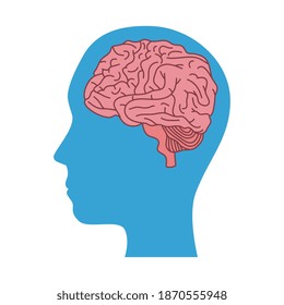 Vector graphic human brain health capacity stock vector royalty free