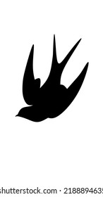 Mentawai, Indonesia. August 2022. Vector black bird.