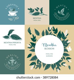 Mentha, set of vector elements and illustration