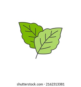 menthol leaf icon in color, isolated on white background 