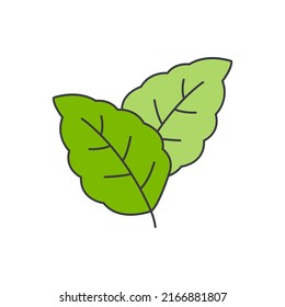 menthol leaf icon in color, isolated on white background 