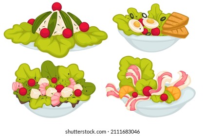 Menu assortment and variety of restaurants, isolated salad with greenery and sauce. Seafood shrimps and leaves, bacon and cherry tomato. Eggs and toast with olives, dieting vector in flat style